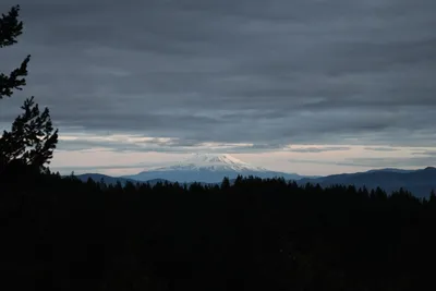 DSC_0145 (Large).JPG